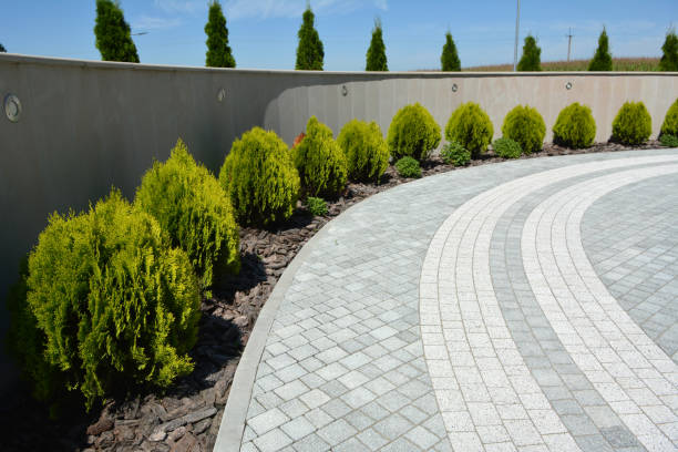 Best Driveway Pavers for Homes  in Waseca, MN